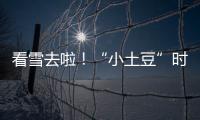 看雪去啦！“小土豆”时髦出片指南